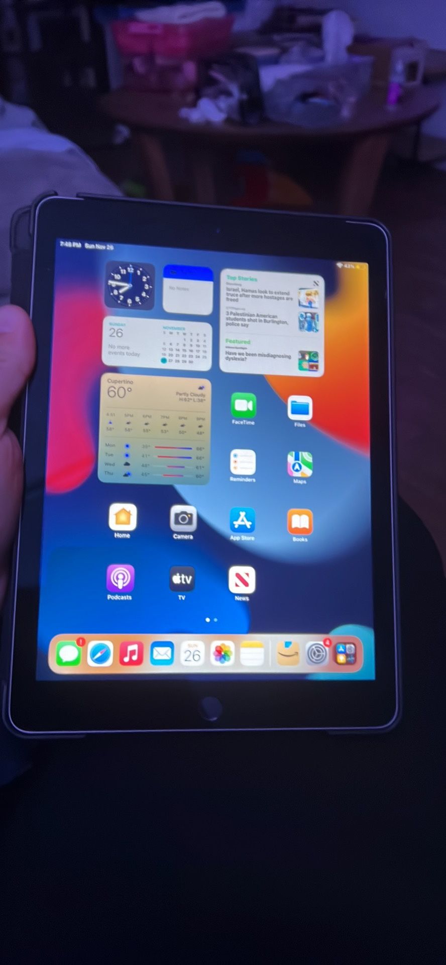 iPad Air 2