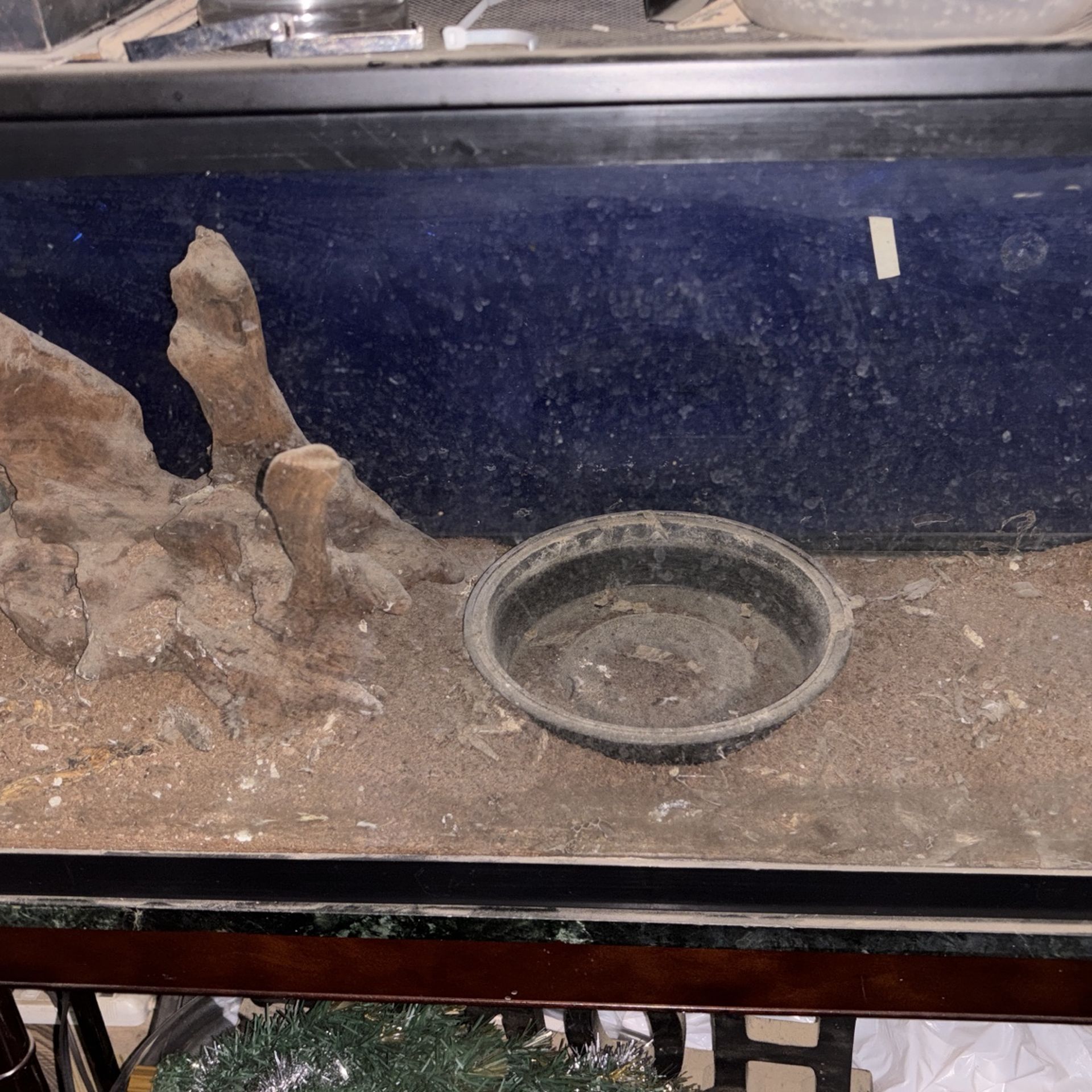 4 40 Gallon Tanks