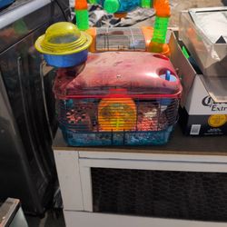 Hamster Cages