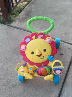 Push walker