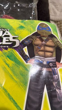 Teenage Mutant Ninja Turtles costume