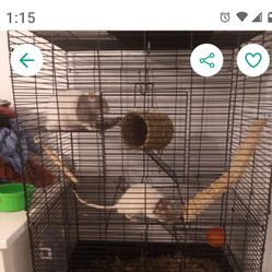 Cage (Used For Rats)