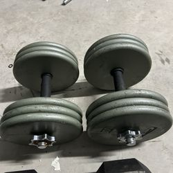 pair of 65lb adjustable dumbbells. 130lb in total 	