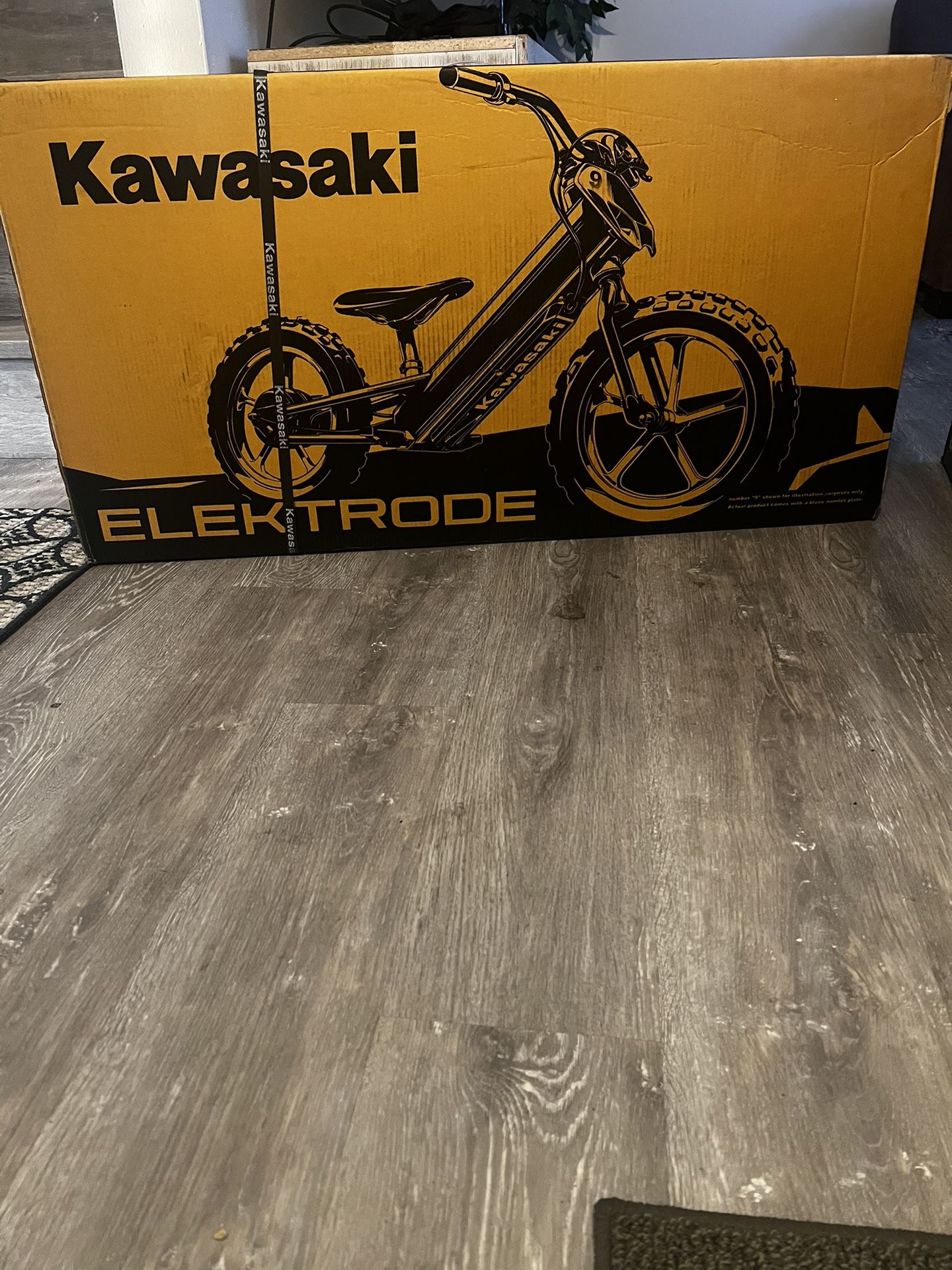 Kawasaki ELEKTRODE