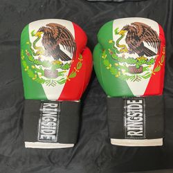 Ring Side Boxing Gloves 