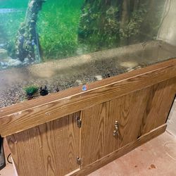 Fish tank With Stand 