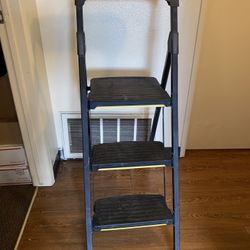 Gorilla Step Ladder