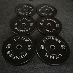 Bumper Plate Set (NEW)