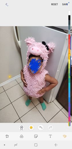 costume lily piggy