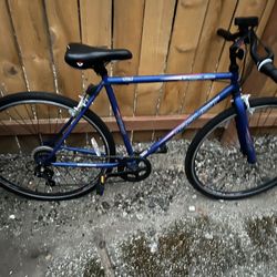 Kent Mountain Bike 