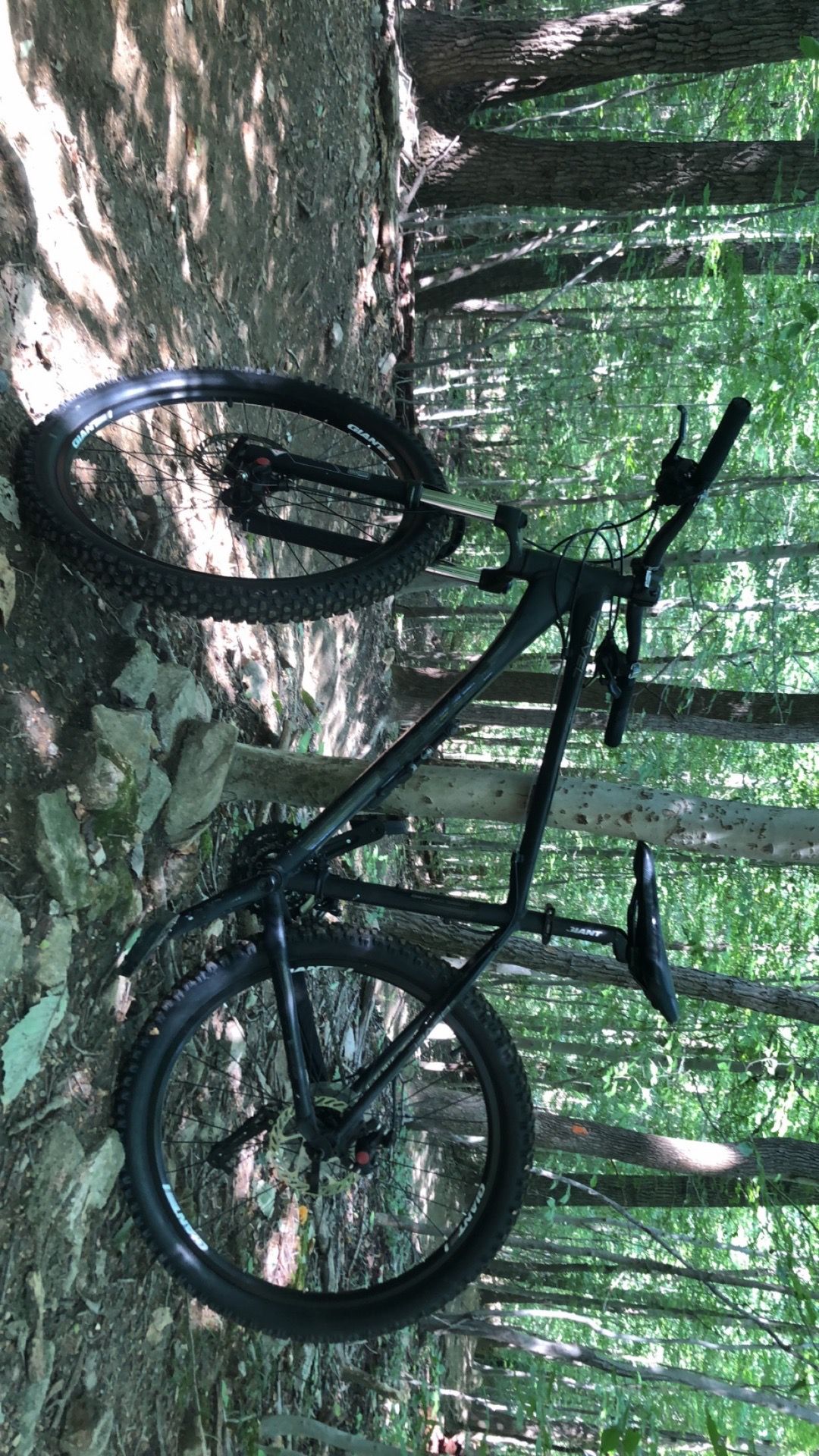 Giant Mountain Bike