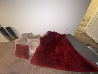 Area Rug & Throw pillows