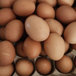 Farm Fresh Eggs