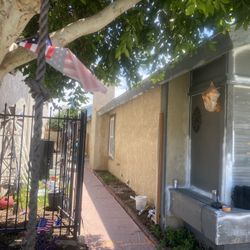 Painting Houses