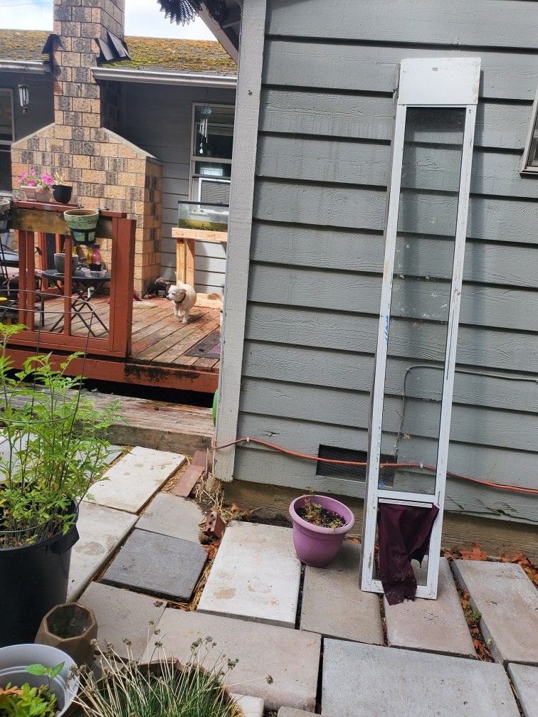 Dog Door