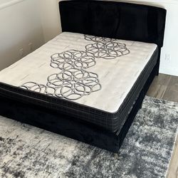 Black Velvet Queen Upholstered Bed / Mattress Included   New In A Box.    Cama Medida Queen Size Color Negro / Colchon Incluido. Nueva En Caja 