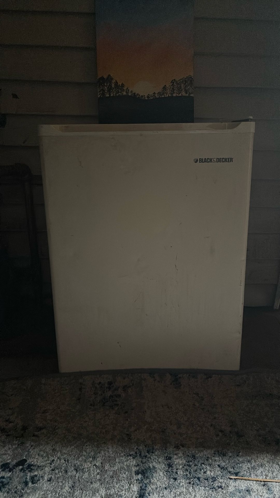 Mini Fridge And Freezer