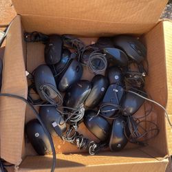 computer mouse