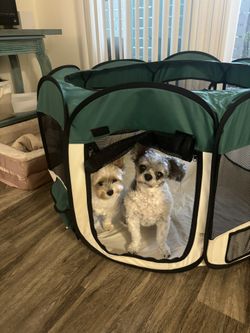 Portable Pet Playpen