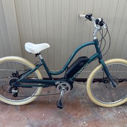 Electric Bike