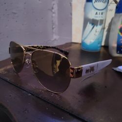 Coach Sunglasses 