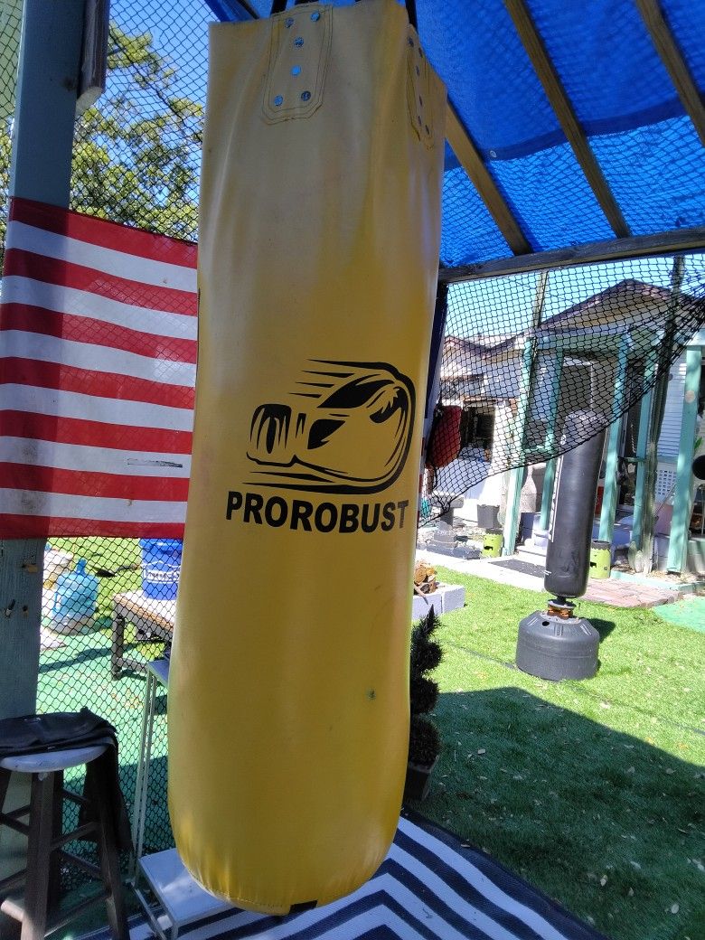 Prorobust Punching Bag With 12oz Gloves