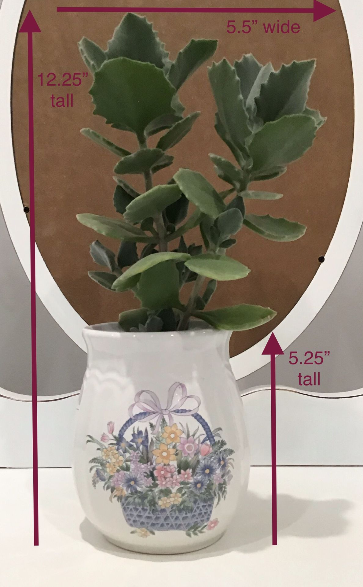 Live Succulents in a White Ceramic with Floral Basket Design Planter