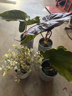 Fake plants