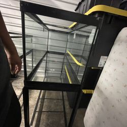 100 Gallon Aquarium 
