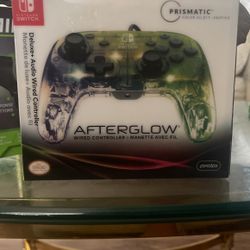 Nintendo Switch Controller