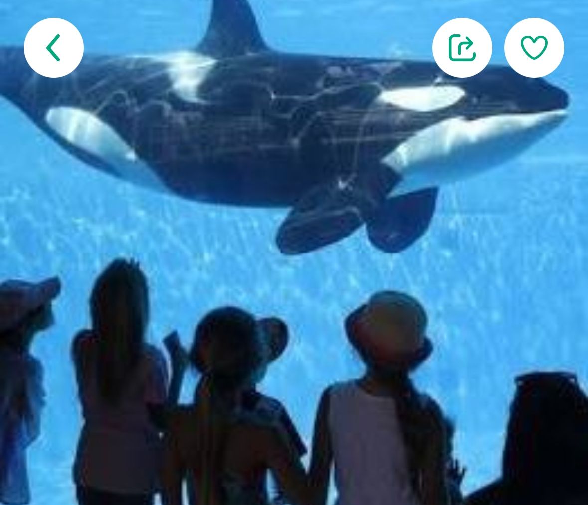 Seaworld Tickets For Today Or Tomorrow