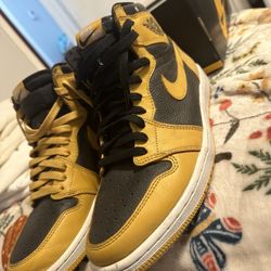 Air Jordan 1s Pollens