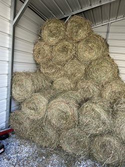 50-80 lbs mini round bales of second cut of hay   just cut and put up yesterday $7.  south west ohio ross/okeana ohio area