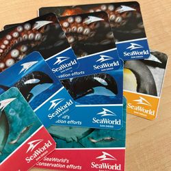 SeaWorld Tickets - 5 Star Seller - Meet in person