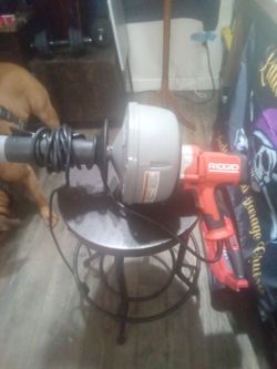 25 Ft Snake