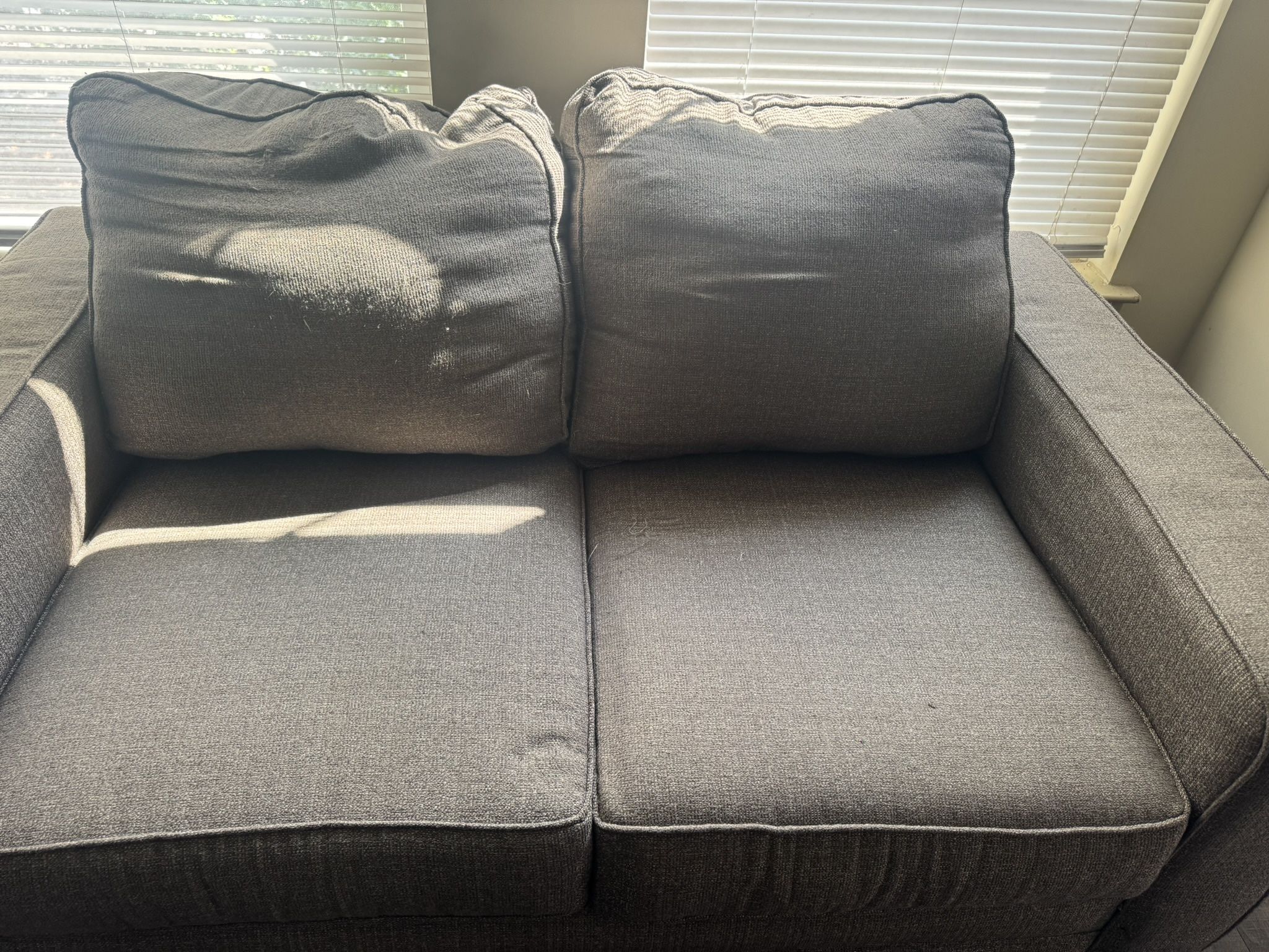 Living Room 2 Piece Couch