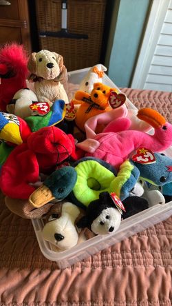 Beanie babies lot