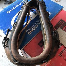 Horse Collar