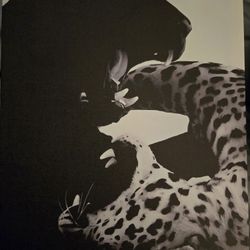 Pretty Panther Picture 