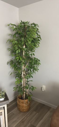 FAUX FICUS TREE