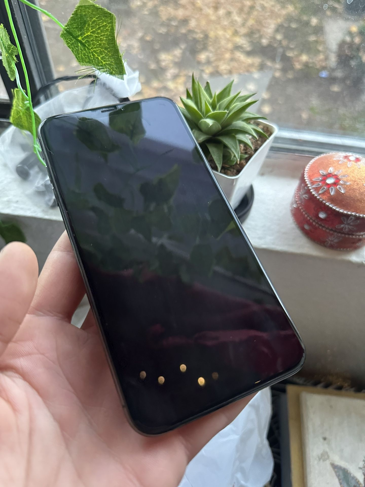 iPhone 12 Max