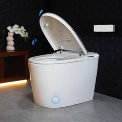 NEW! Smart toilet with built in bidet, one piece toilet, automatic flush, heated seat, dual pump