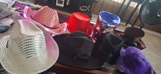 Novelty and Costume Hat Lot