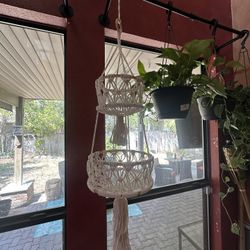 Plant / Fruit Hanger 