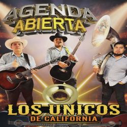 Grupo Sierreño Barato Como La Carne De Gato Y Si No Nos Crees Has Un Contrato 🤣🤣😅🎸🎸