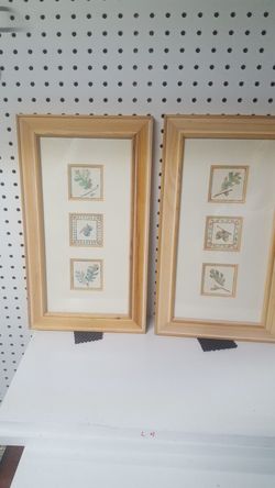 Doubled Matted Framed Pictures