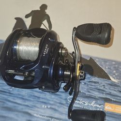 Fishing REEL