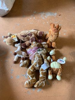 Giraffe Lot