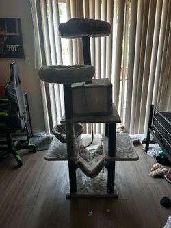 Cat play thingy 😭