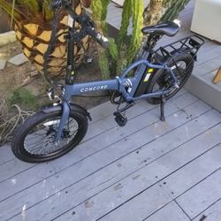 Folding E Bike